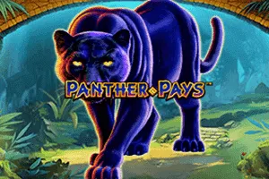 Panther Pays - SADABET138