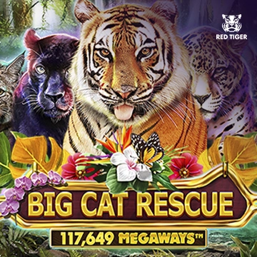 Big Cat Rescue Megaways - SADABET138