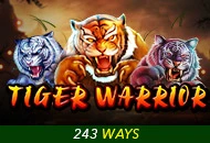 Tiger Warrior - SADABET138